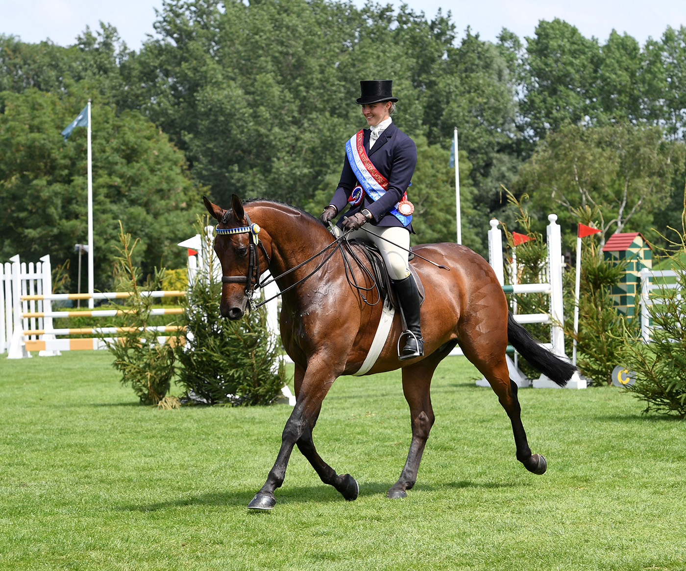 BURIANA LARKRISE8 / Bay / Gelding / Up With The Lark / / Hannah Horton