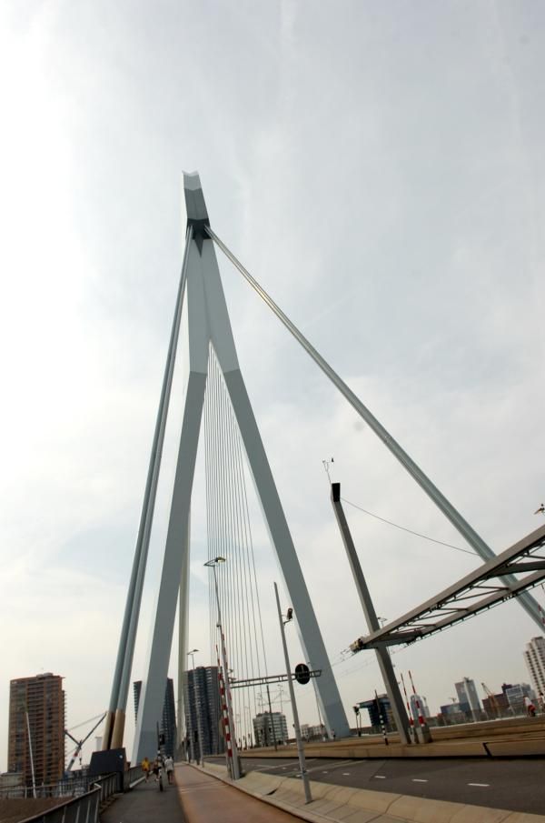 Rotterdam's iconic Erasmus Bridge, scene of the presentation