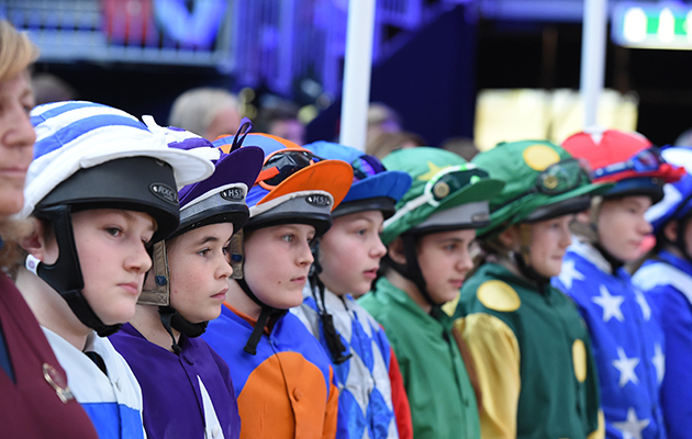 Focus in the paddock