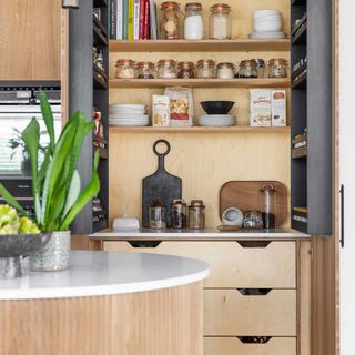 wooden kitchen with full-height kitchen unit with drawers