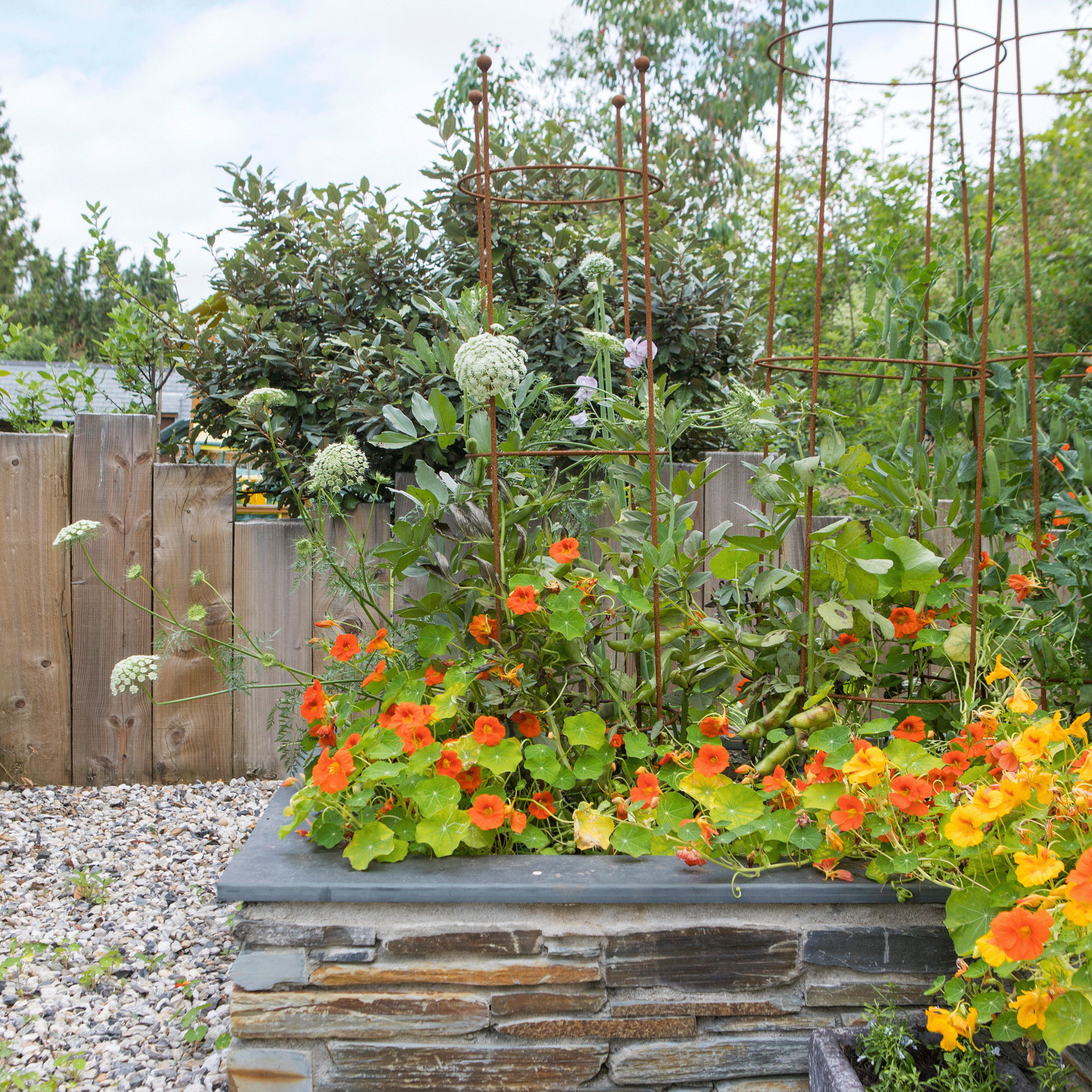 a garden with raised beds filled with flowers and metal plant supports
