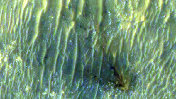 Perseverance&rsquo;s descent stage had eight throttleable retrorockets, or Mars landing engines, which helped slow the spacecraft in preparation for touchdown on the surface of Mars. Once the rover made contact with the ground, the descent stage detached and flew off to crash-land safely away from Perseverance. This image, taken on Feb. 19 by the High Resolution Imaging Experiment (HiRISE) camera aboard the Mars Reconnaissance Orbiter, captures an up-close view of the descent stage&rsquo;s final landing spot.