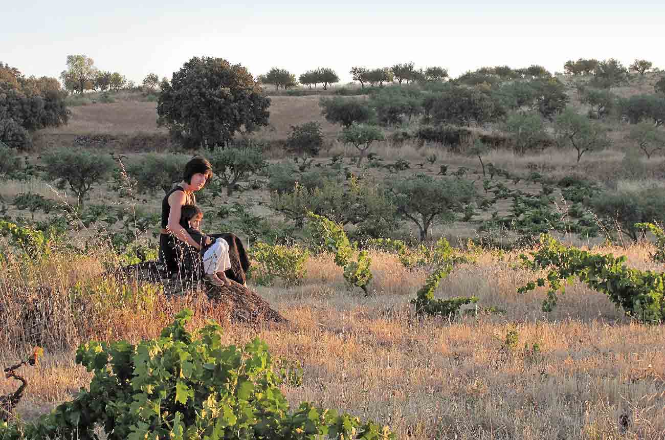 Winemaker Charlotte Allen and son Mateo at Almaroja winery in Arribes, Castilla y Leon, Spain x