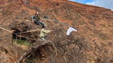 An aerial view of two men repelling off a cliff side where a tree is being held up by ropes.