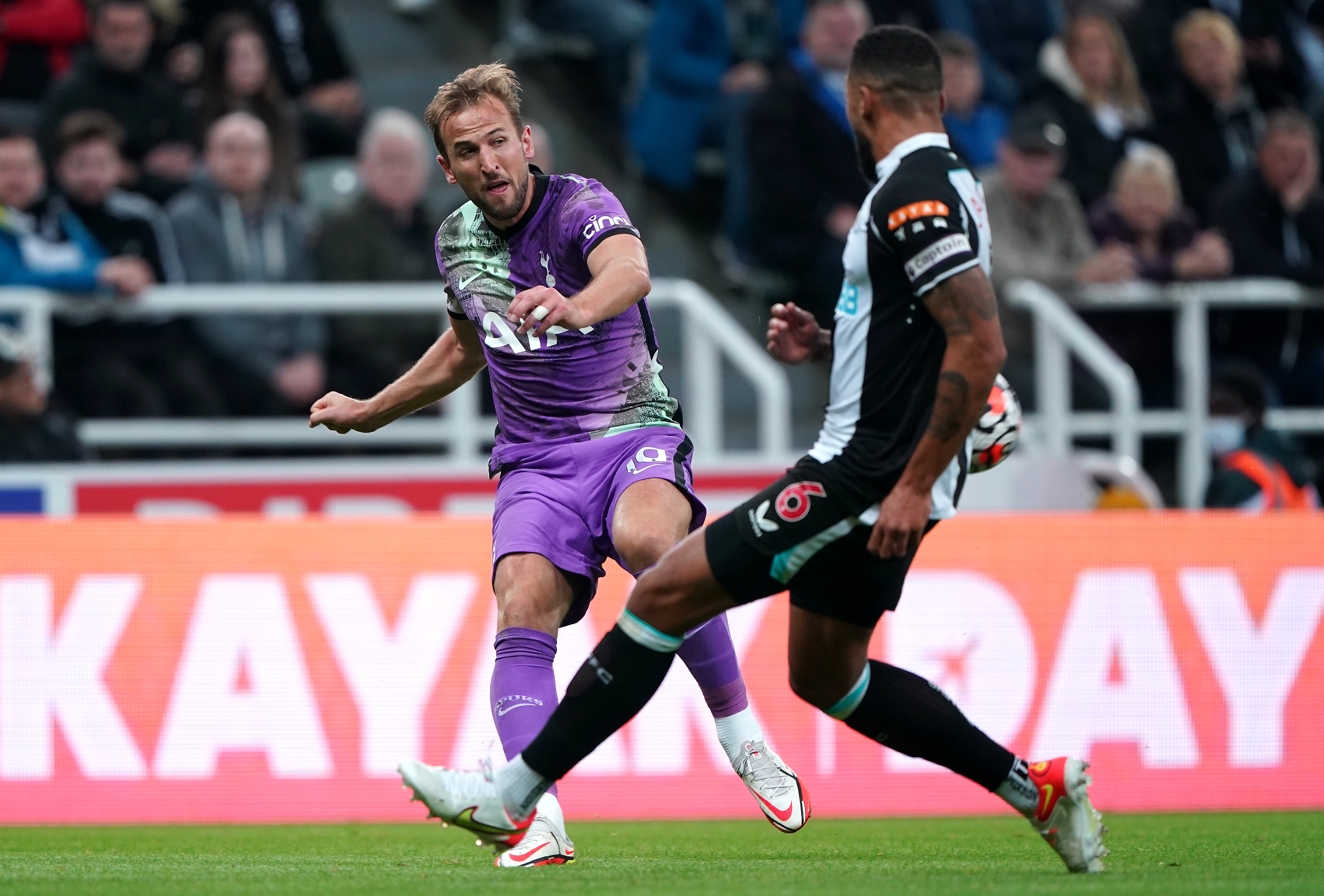 Harry Kane in action