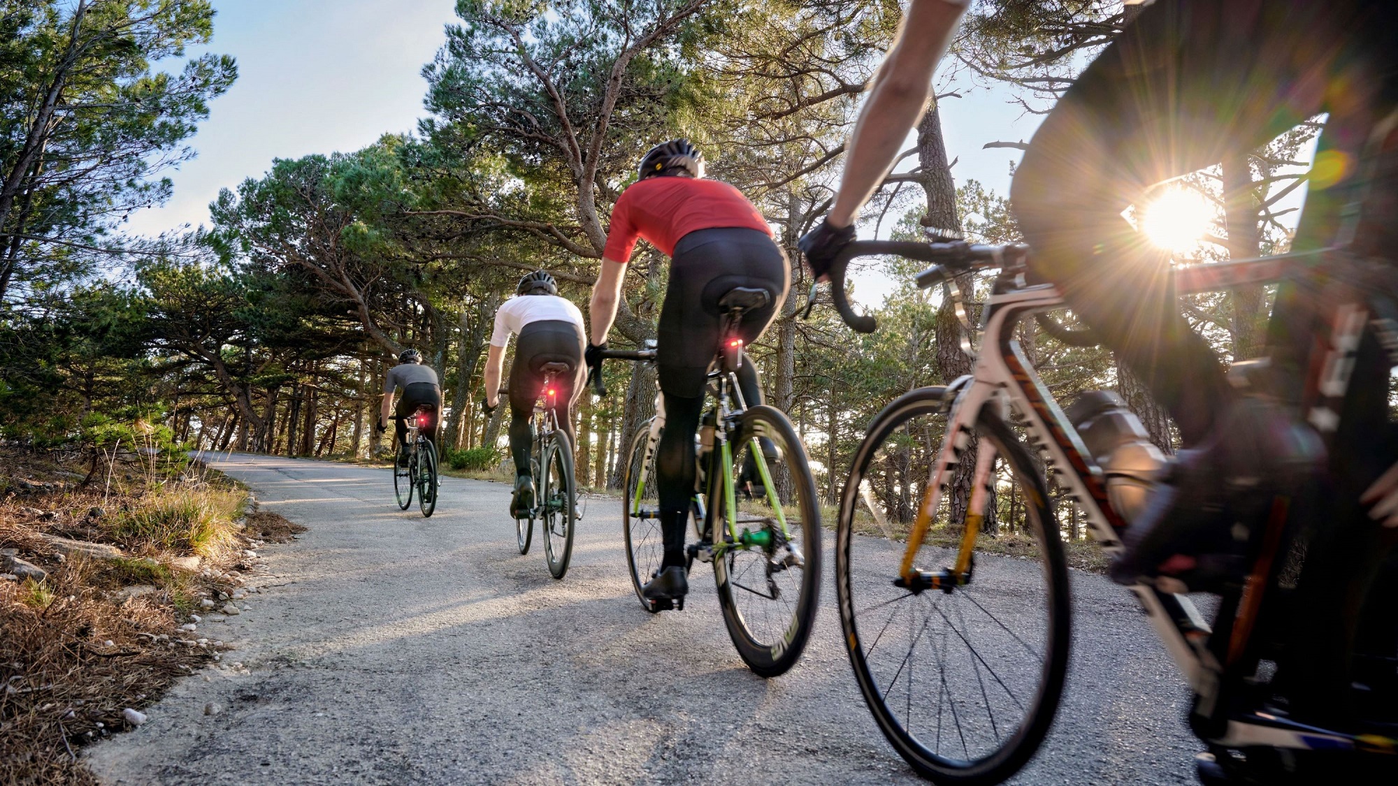 Garmin Varia peloton mode