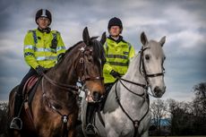 gloucestershire police horses
