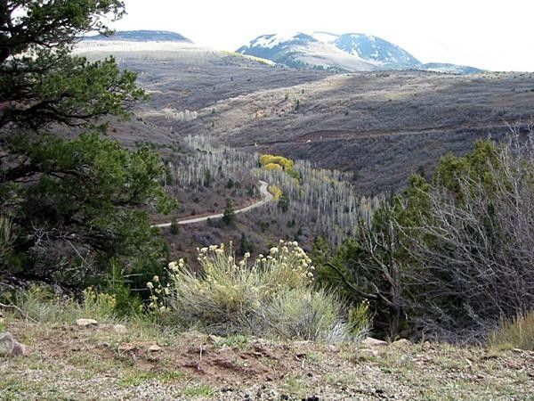 One for you roadies to drool over - the Lasal Loop road