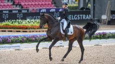 Franziskus FRH comeback: Ingrid Klimke&rsquo;s top dressage horse will be back in action this year