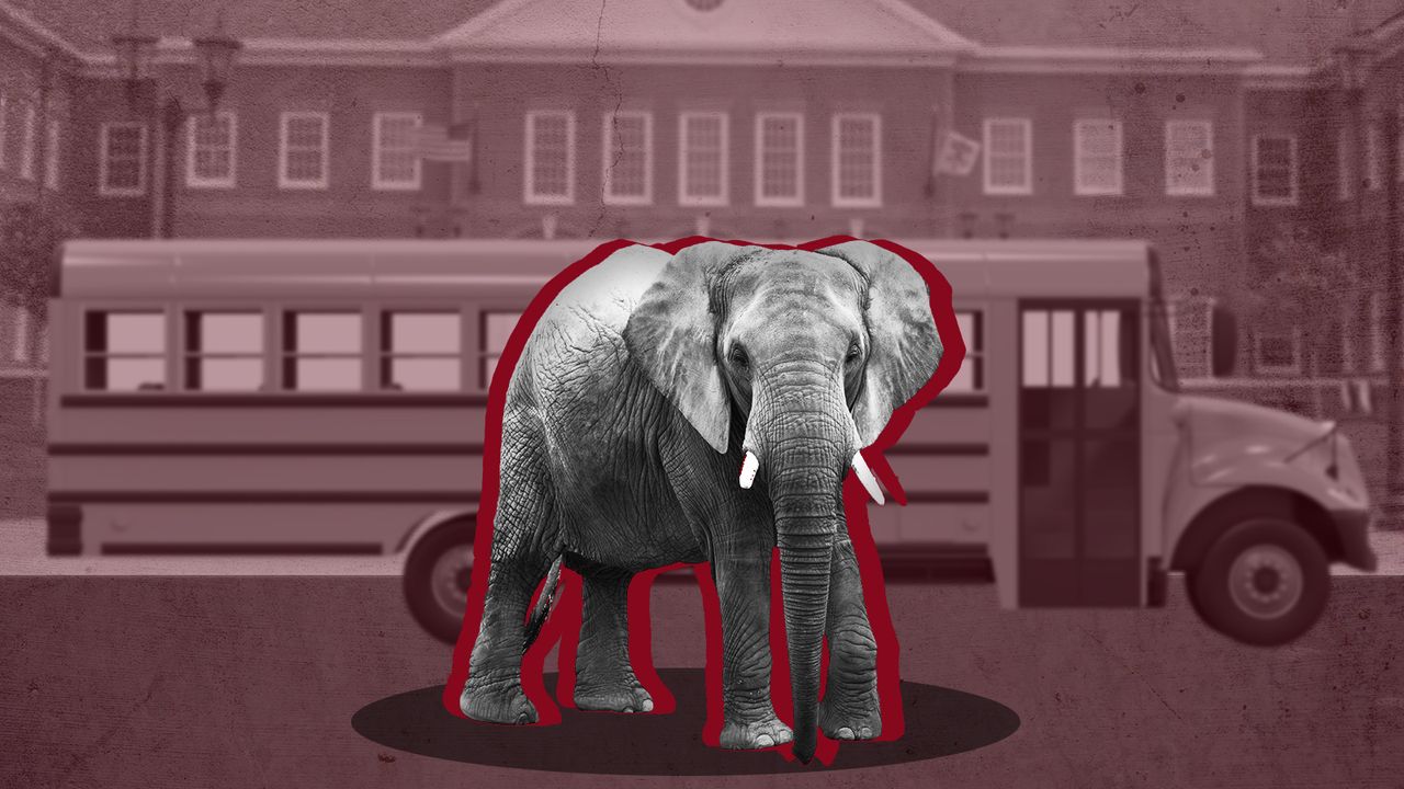 Elephant in front of school.