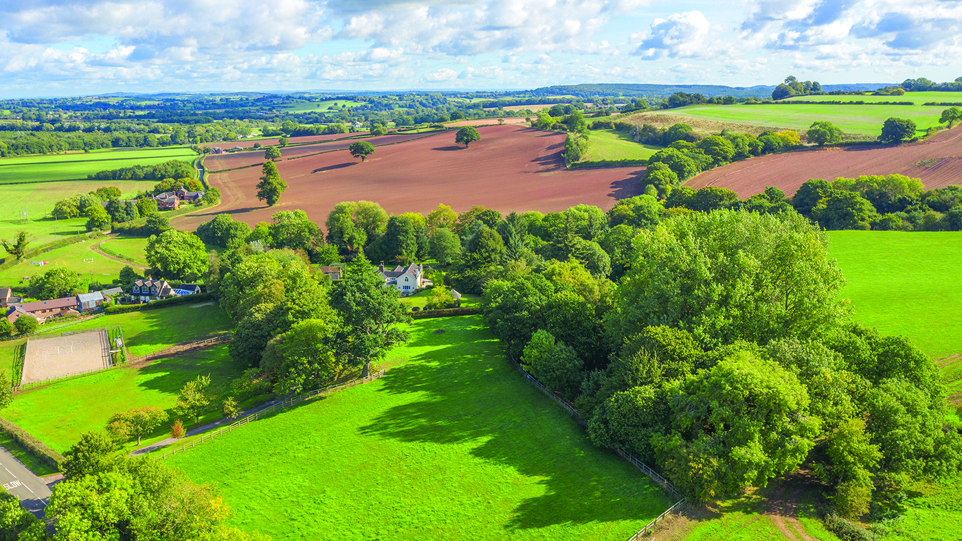 Castle Hill aerial showing pastureland and manege