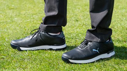 Puma men's ignite proadapt golf shoes review hotsell