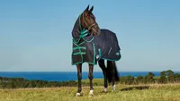WeatherBeeta Green-Tec Turnout Rug – £102.79 at rideawaystore.com WeatherBeeta Green-Tec Turnout Rug – £102.79 at rideawaystore.com