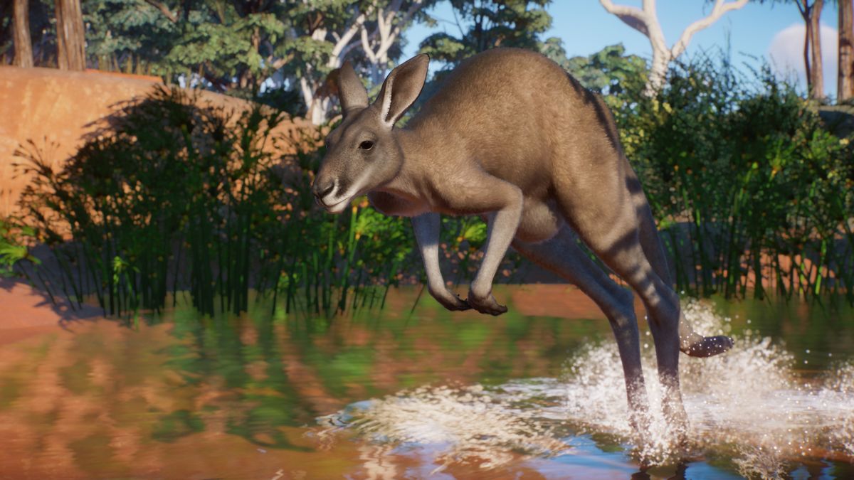 Australia is coming to Zoo, mate PC Gamer
