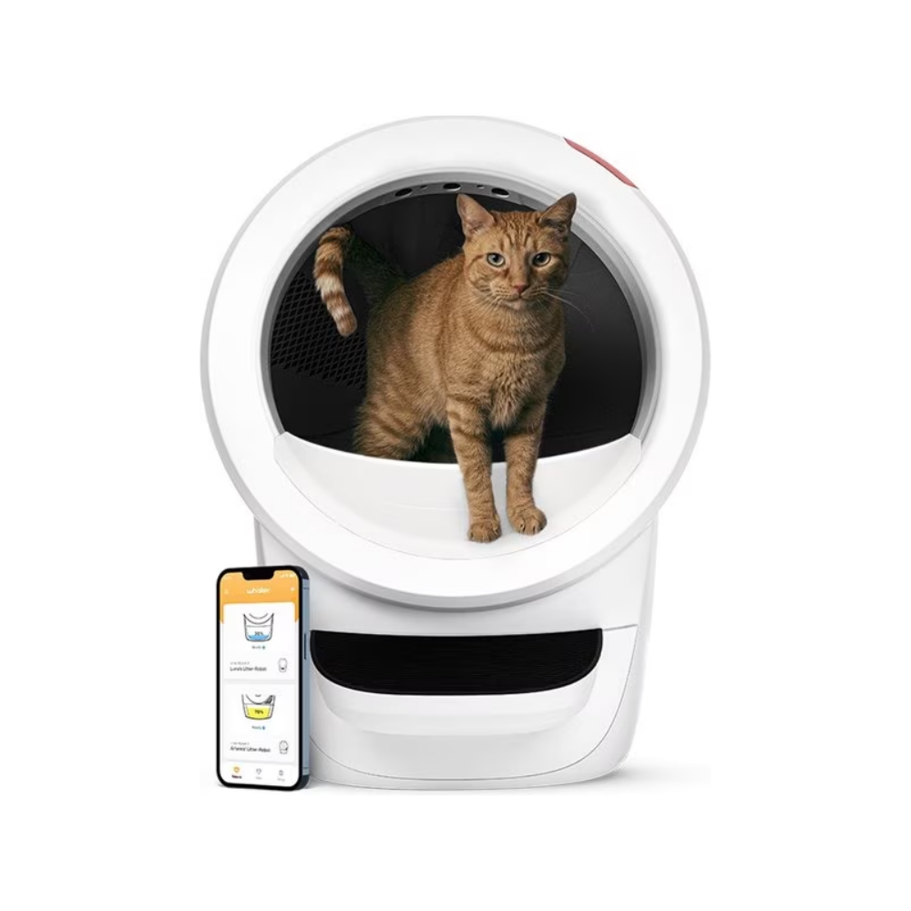 Cat inside of the Whisker Litter-Robot 4, next to an app displaying on a phone