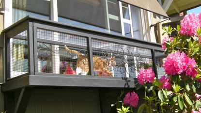 A balcony catio in a residential home