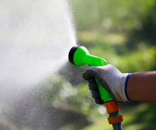 Misting with a garden hose nozzle