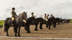 Fells, Dales and Highlands line up in the HOYS qualifier at the NPS Area 5 Spring Show