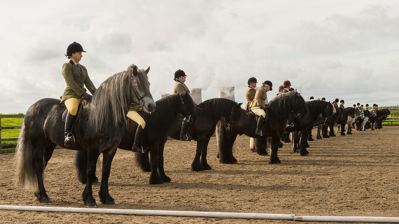 Fells, Dales and Highlands line up in the HOYS qualifier at the NPS Area 5 Spring Show