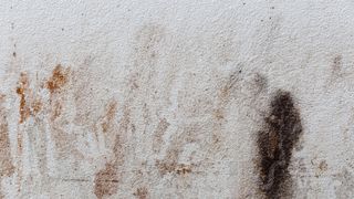 grease stain on wall