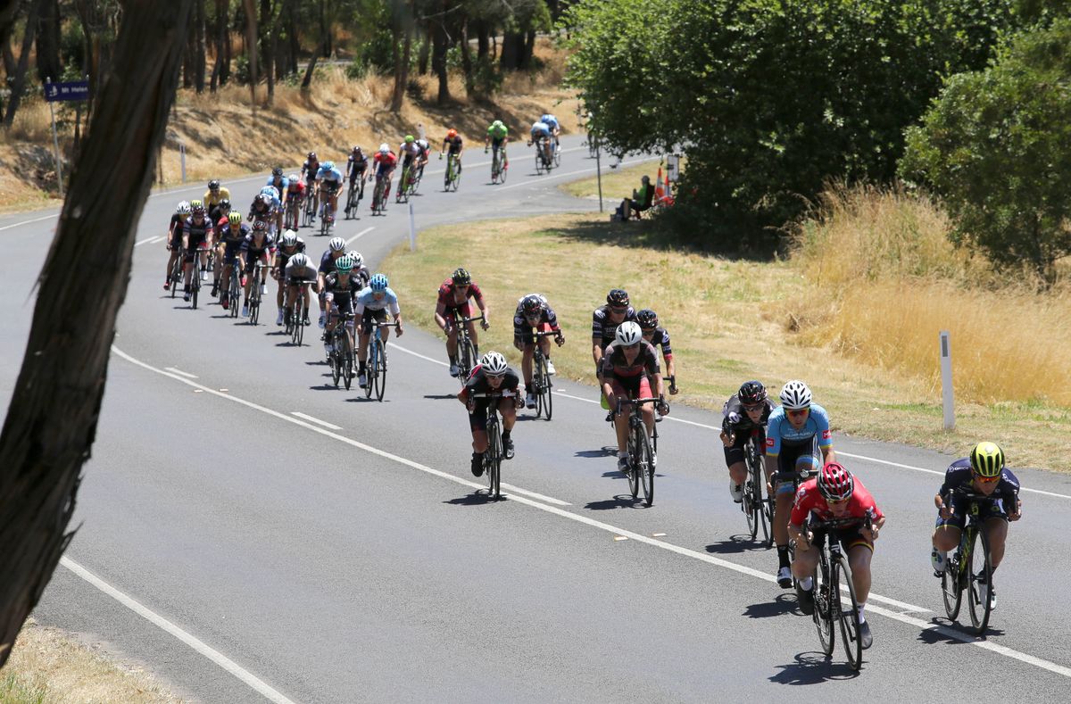 The peloton strings out