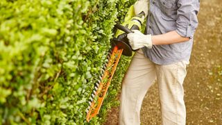 Best hedge trimmers 2022: Top cordless, gas, and electric trimmers 