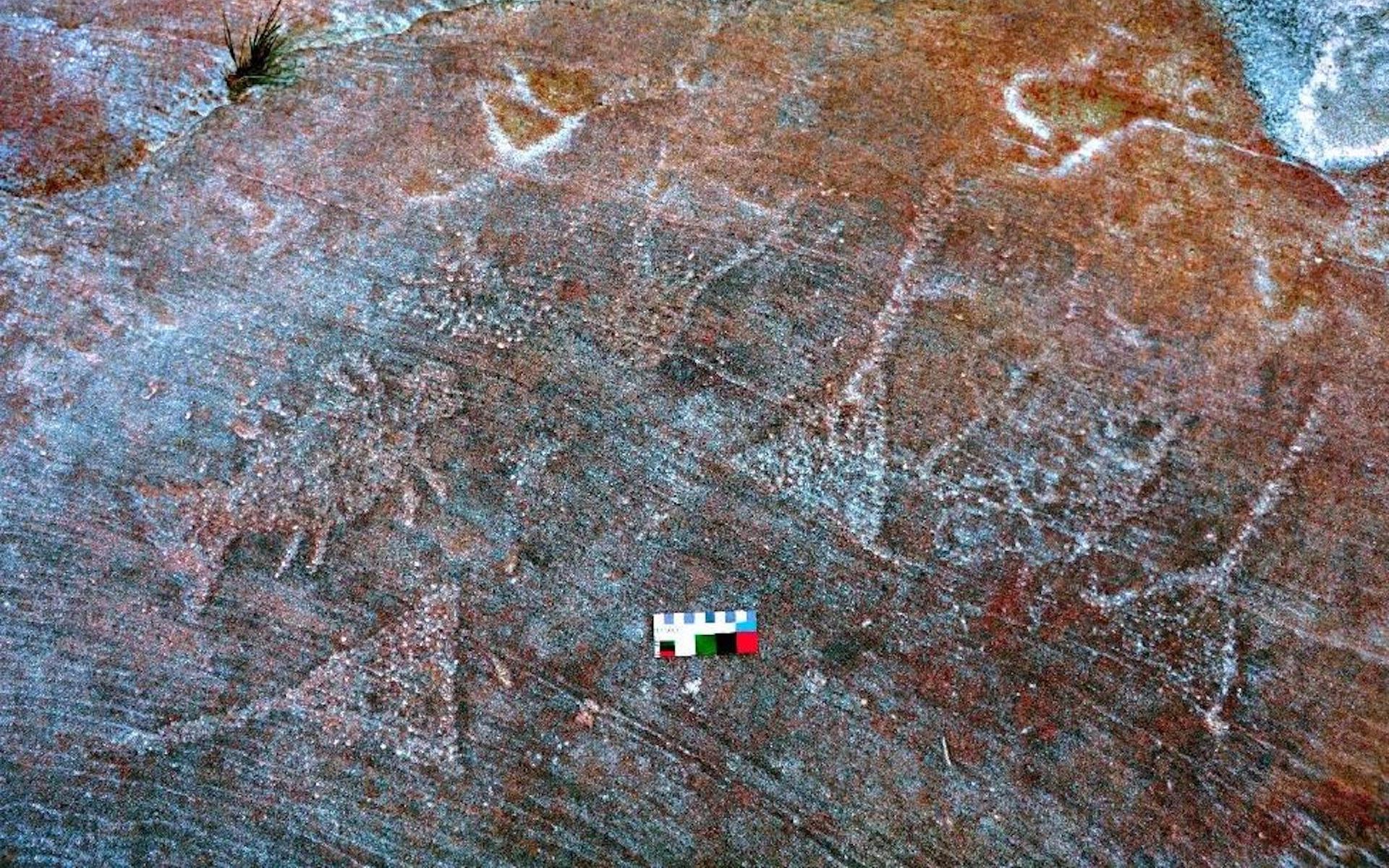 Gambar ini menunjukkan beberapa petroglif, seni cadas yang dipotong pada batu. 