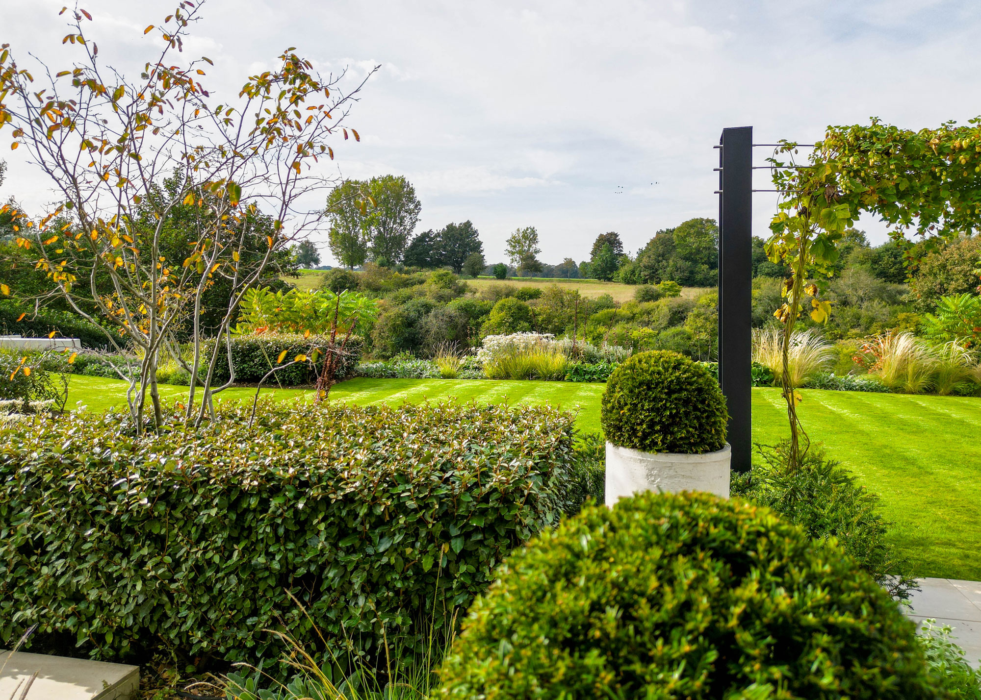 A garden with lots of greenery as well as hedges with a large lawn
