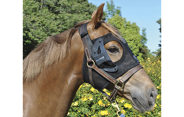 equilume