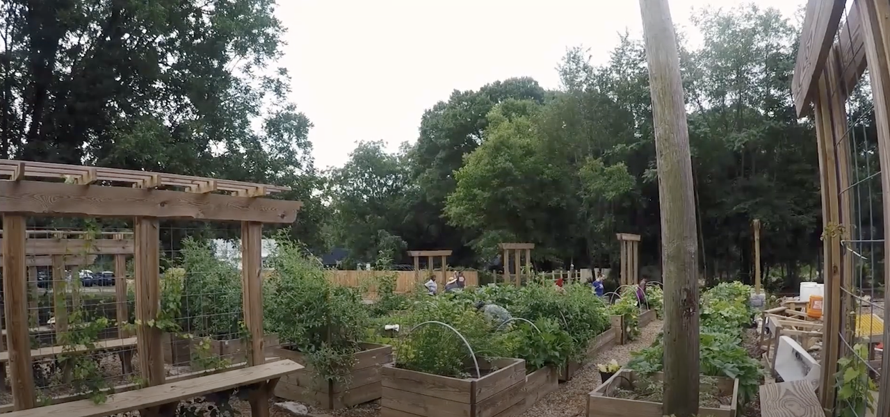 The free food forest.