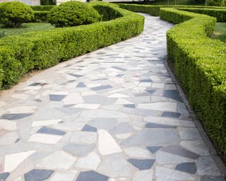 crazy paving on path with hedges