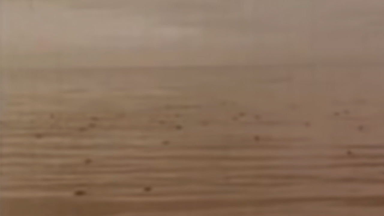 Lemmings floating in the water after drowning