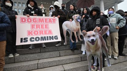 Animal rights activists celebrate outside the National Assembly, Seoul, 9 January 2024