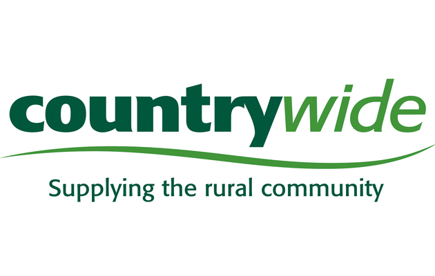 CW-Logo-Main.jpg