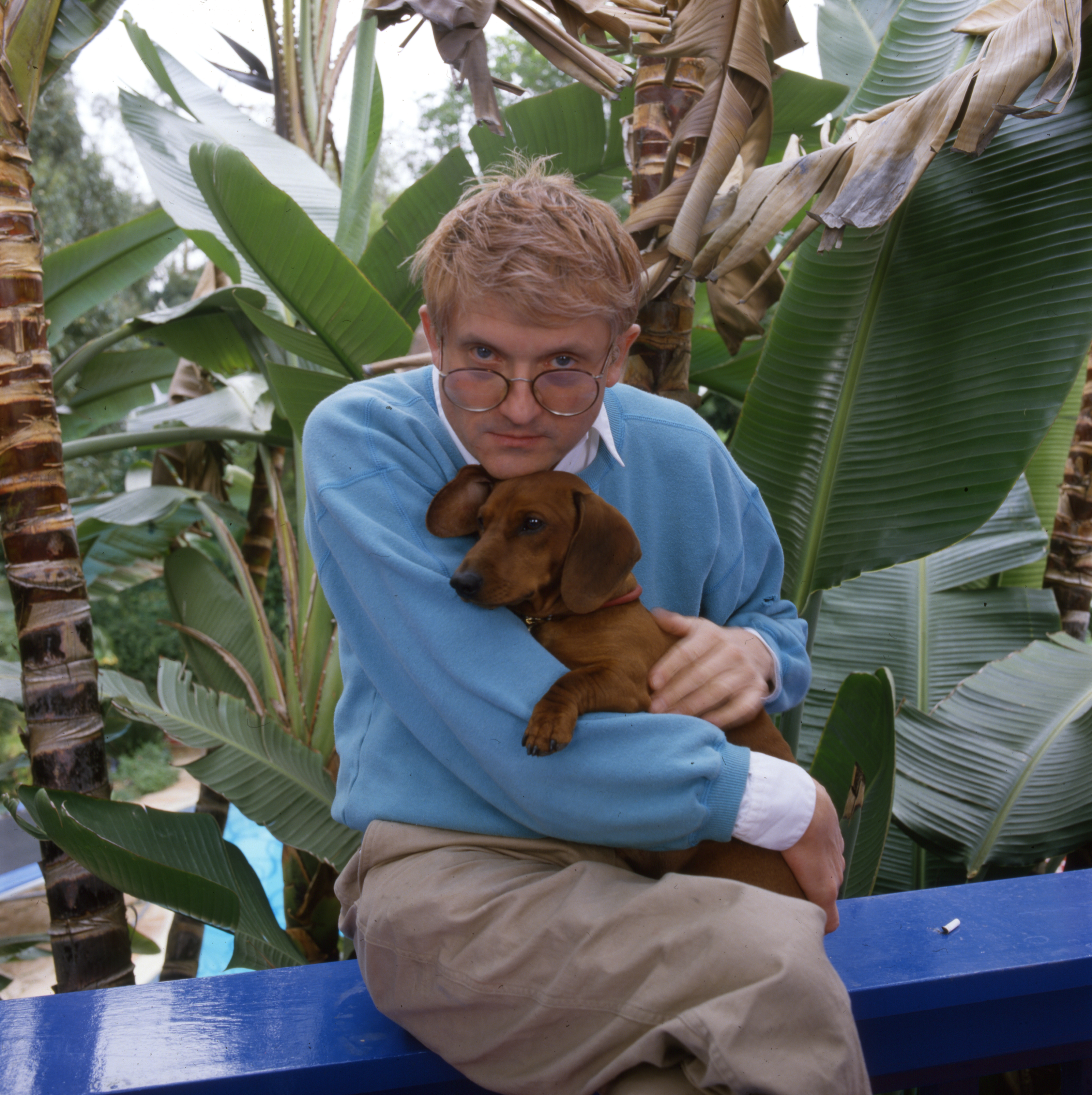 David Hockney with one of his pet dogs.