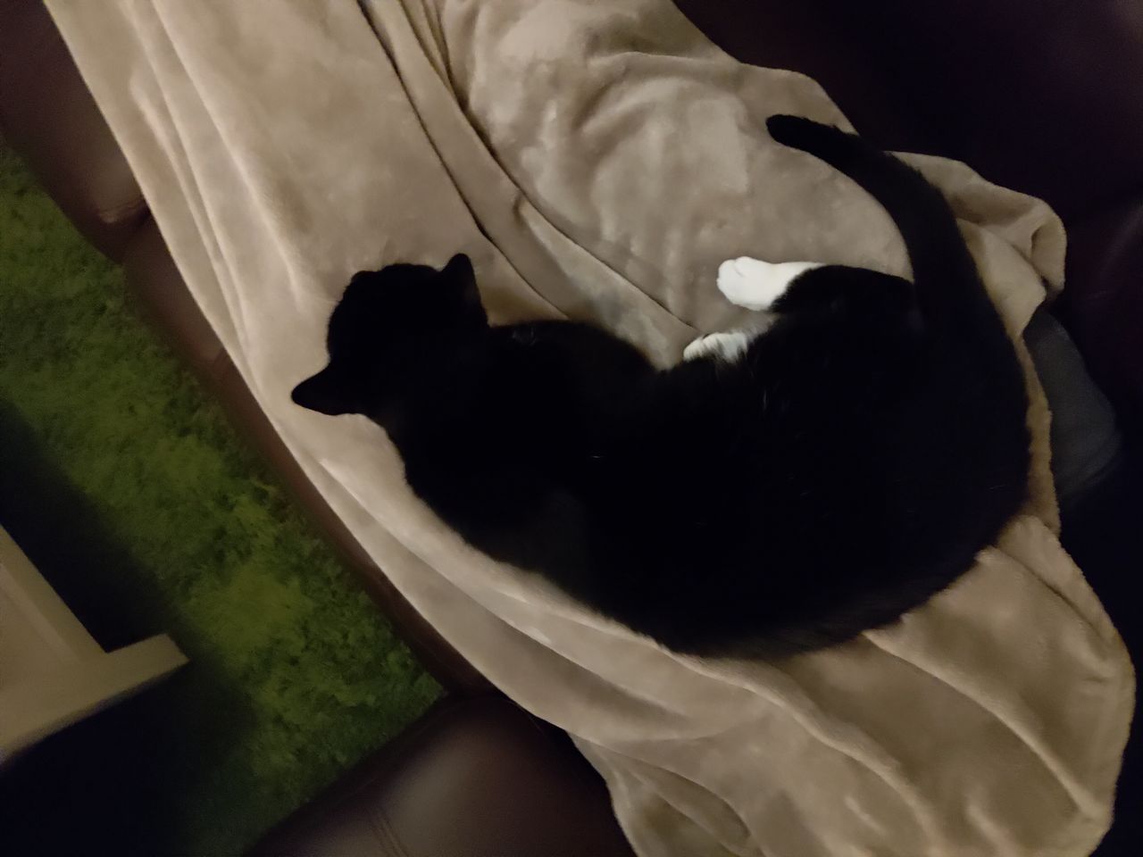 Low light shots aren't terrible, but you'll start to see the camera struggle.