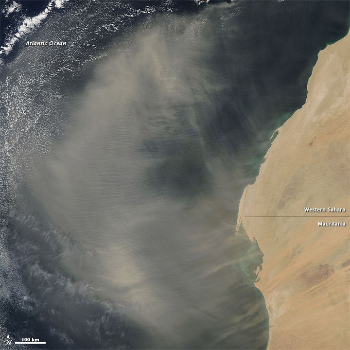 western Sahara, Saharan Desert Dust