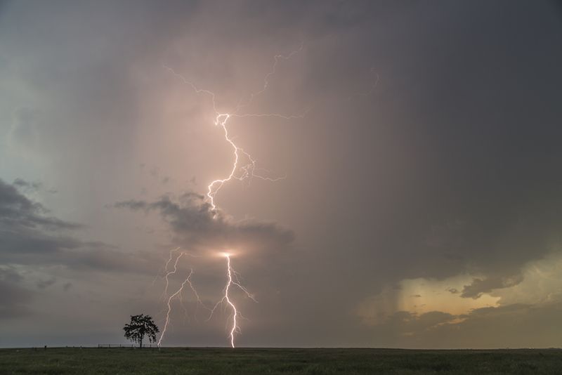 16-Year-Old Hunter Dies After Being Struck by Lightning