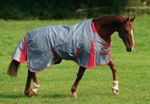 horse-rug-6.jpg