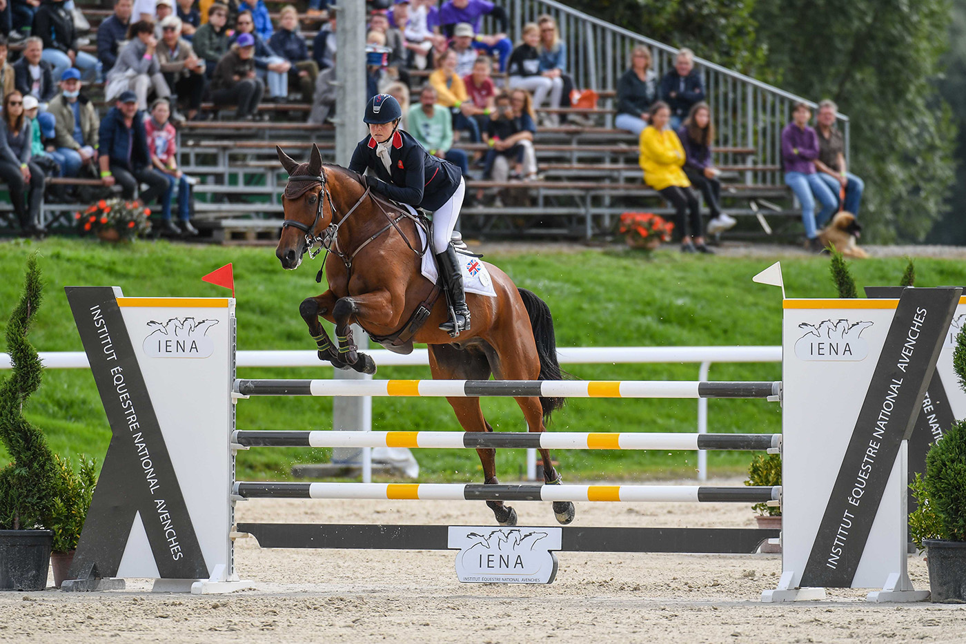 European Eventing Championships results: Piggy March and Brookfield Inocent take individual silver