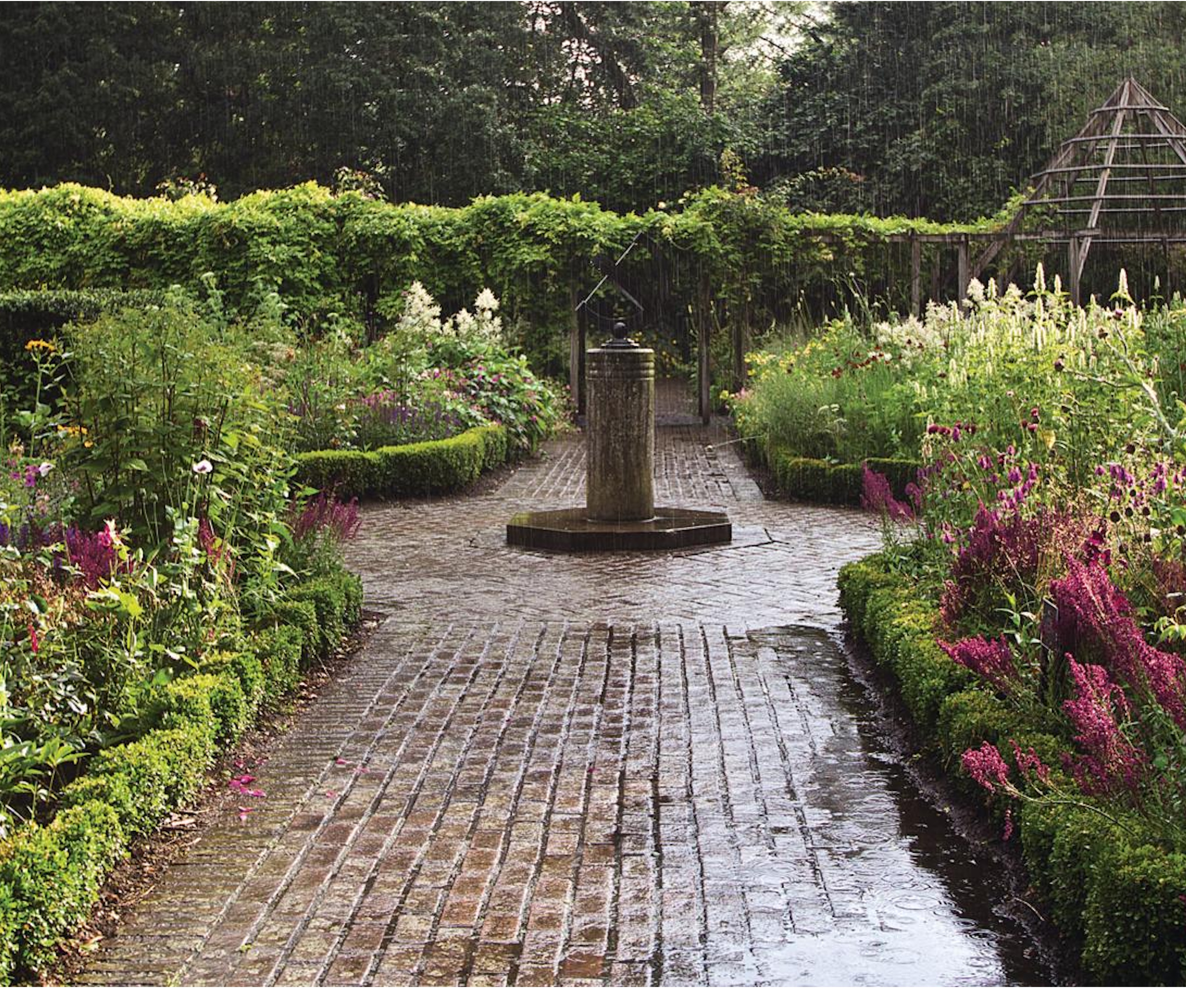 Rain in the garden