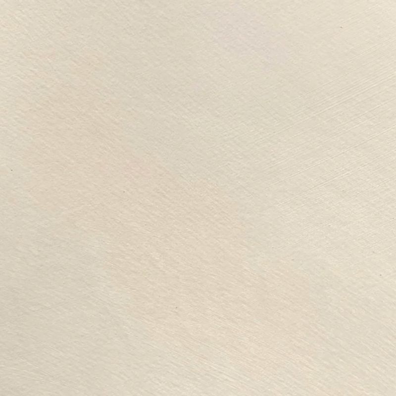 warm white paint swatch