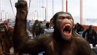 Rise of the Planet Of The Apes - Intelligent monkeys