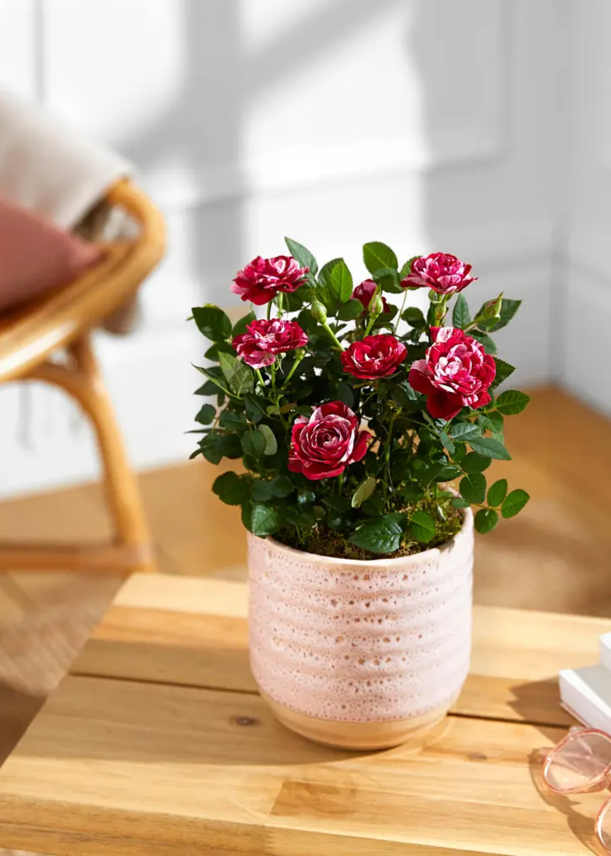 A mini glazed ceramic pot with mini marbled roses on a wood stool