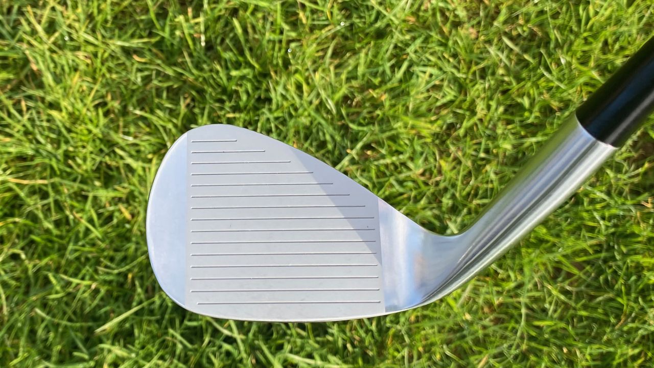 Photo of the Hayabusa wedges