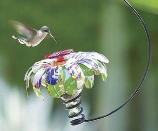 sugar shack hummingbird feeder and hummingbird