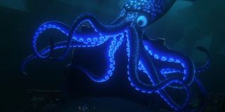 Finding Dory Squid