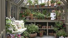 A rustic greenhouse filled with potted plants and a metal bench