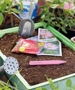 Seed tray wth soil and seed packs