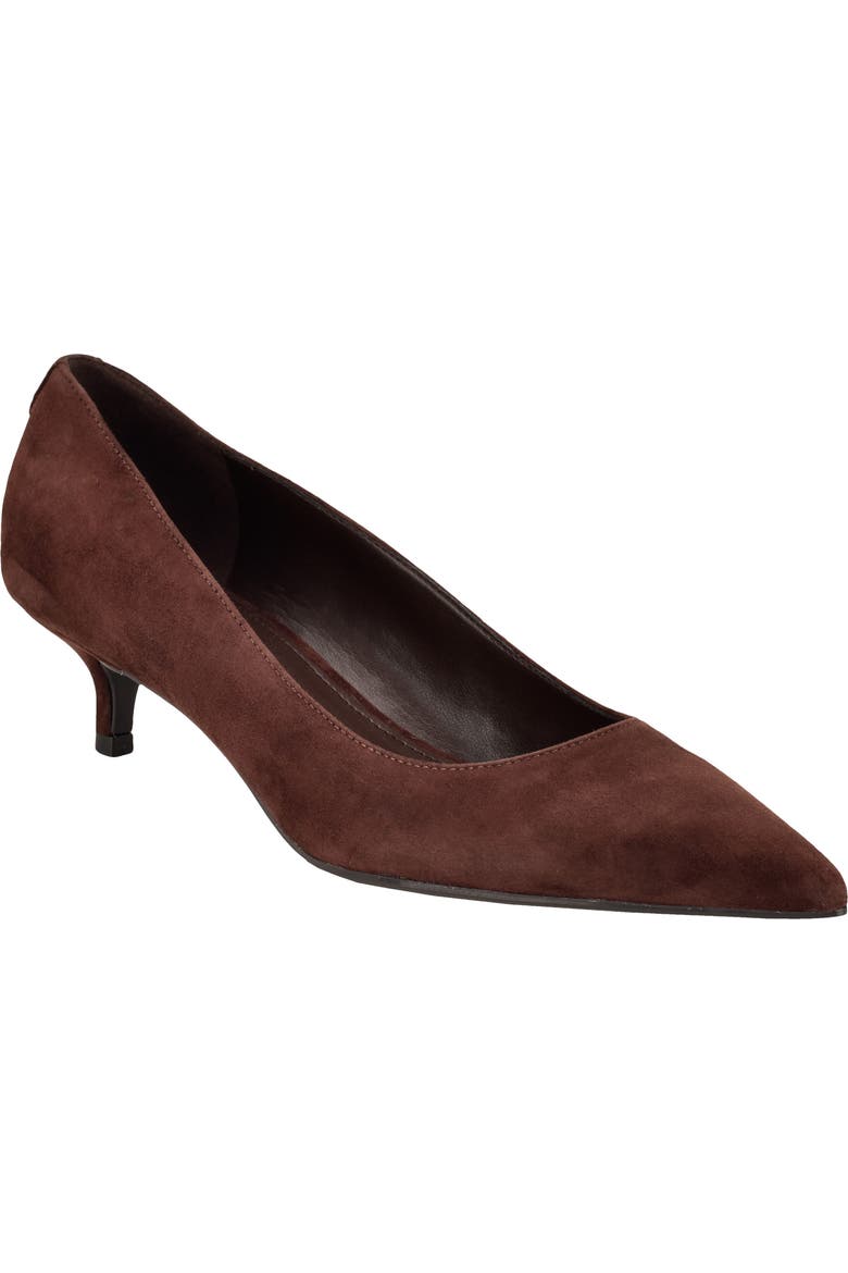 Roxanna Pointed Toe Pump